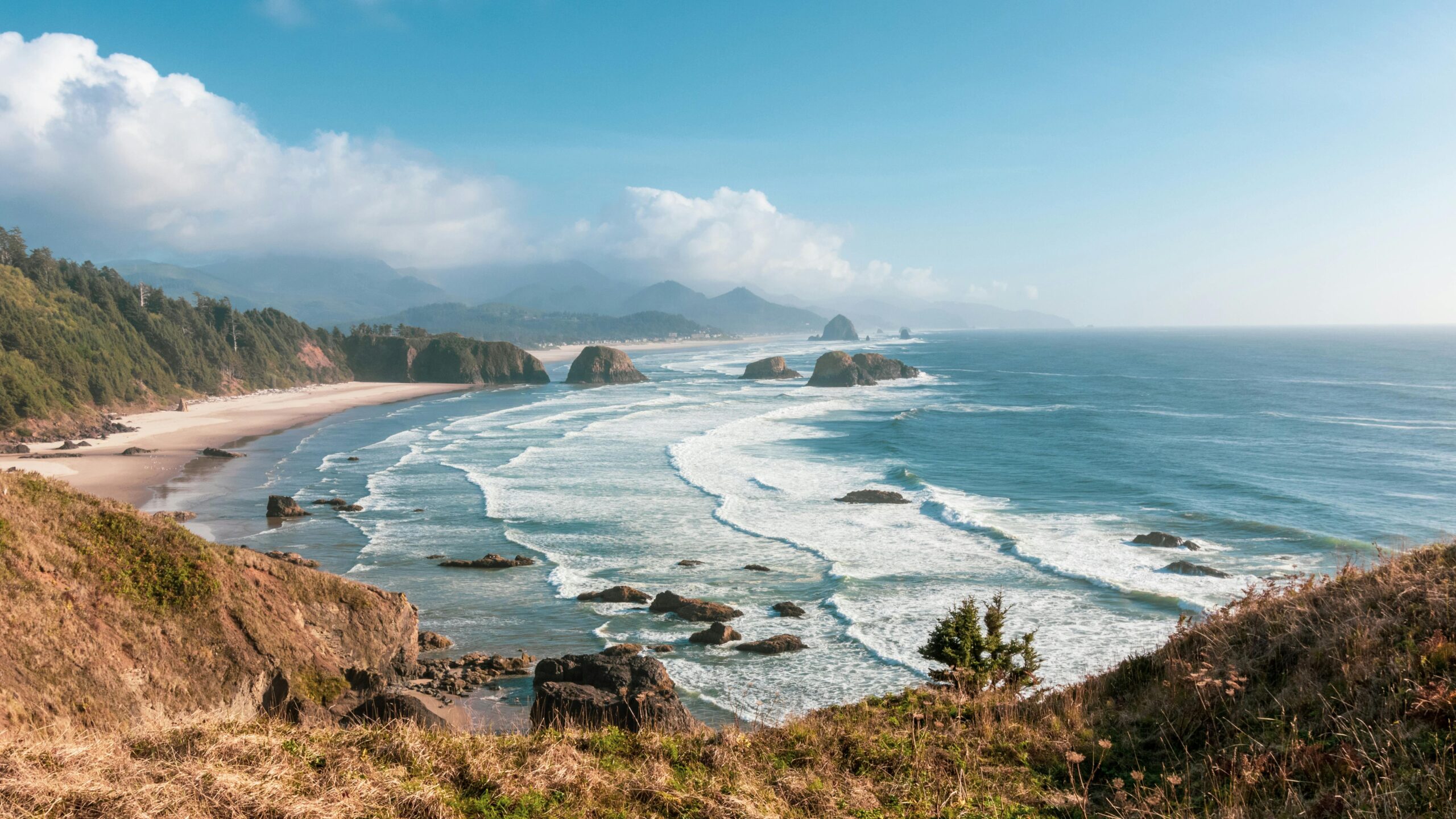 Oregon Coast Road Trip