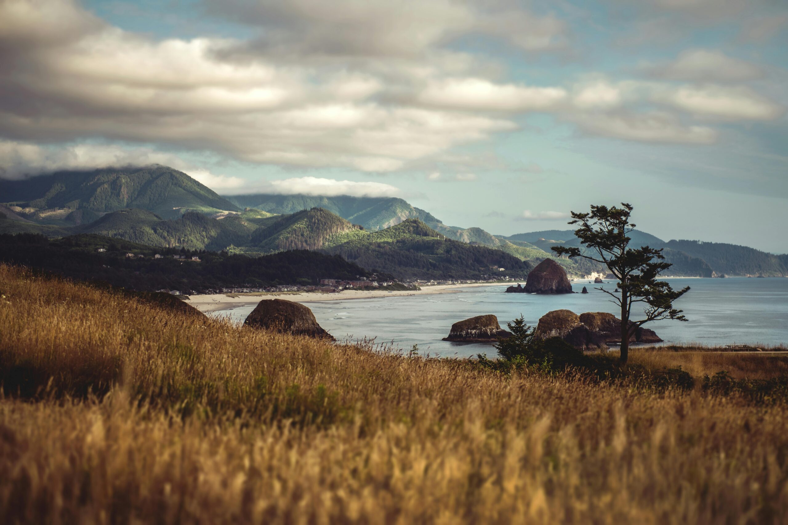 Oregon Coast